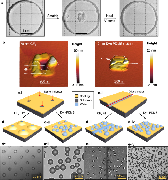 Transparent and Scratch-Resistant Antifogging Coatings with Rapid  Self-Healing Capability