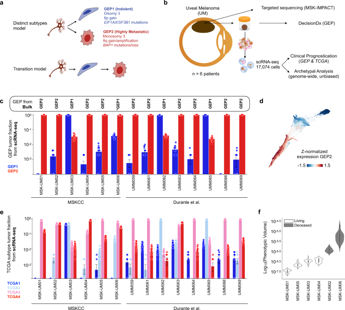 Loss of polycomb repressive complex 1 activity and chromosomal instability  drive uveal melanoma progression | Nature Communications