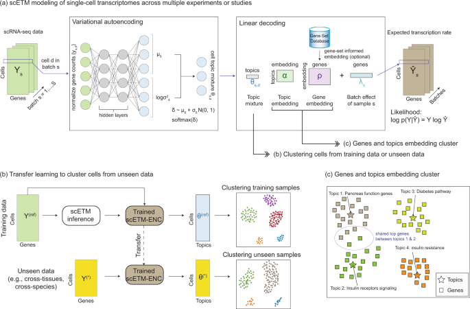Identifying common transcriptome signatures of cancer by interpreting deep  learning models, Genome Biology