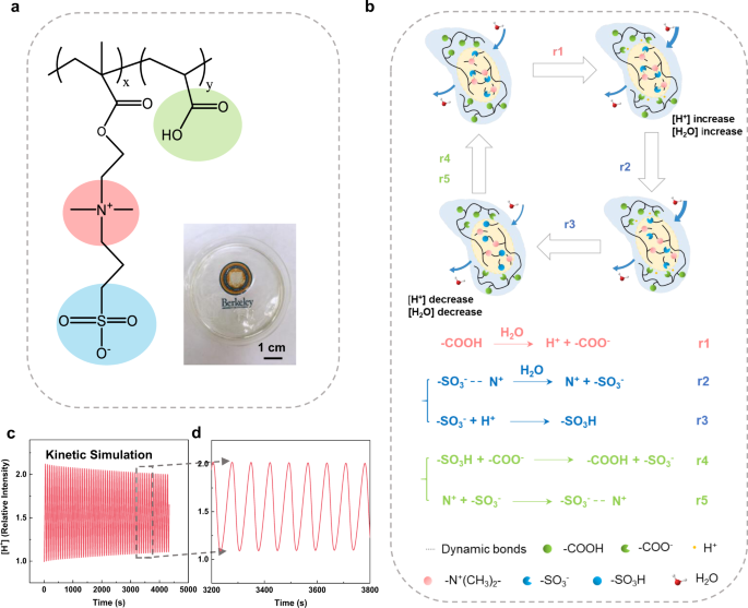 Moisture Induced Autonomous Surface Potential Oscillations For Energy Harvesting Nature Communications