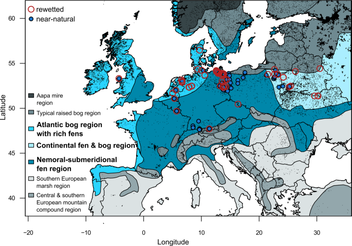 Rewetting does not return drained fen peatlands to their old selves | Nature Communications Rewetting does not return drained fen... 