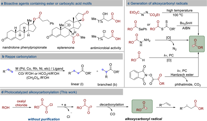 Synthesis of New Ester Derivatives of Salicylic Acid and Evaluation of  Their COX Inhibitory Potential - Koca - 2023 - Chemistry & Biodiversity -  Wiley Online Library