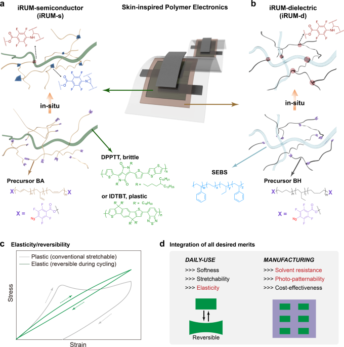 https://media.springernature.com/m685/springer-static/image/art%3A10.1038%2Fs41467-021-25719-9/MediaObjects/41467_2021_25719_Fig1_HTML.png