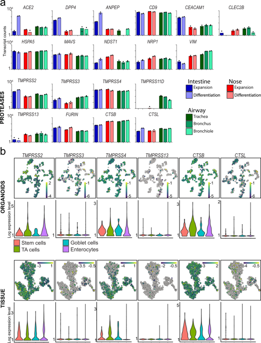 A CRISPR/Cas9 genetically engi...