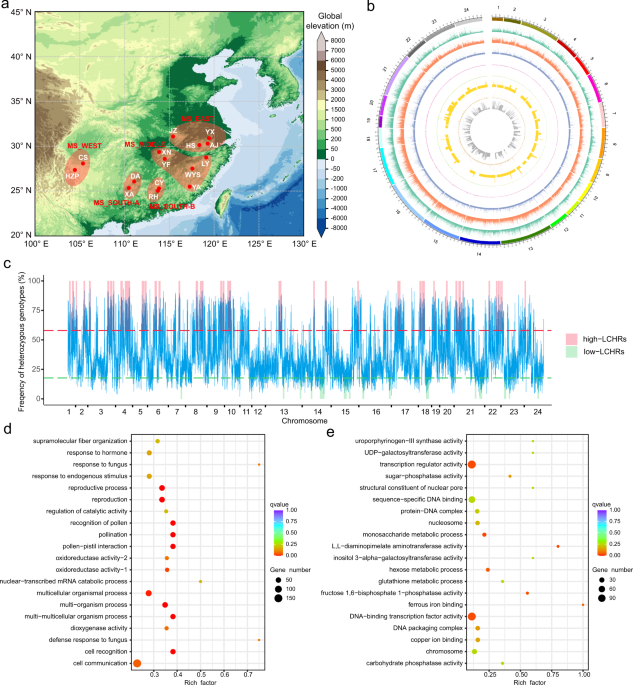Analysis of 427 genomes reveals moso bamboo population structure and  genetic basis of property traits | Nature Communications