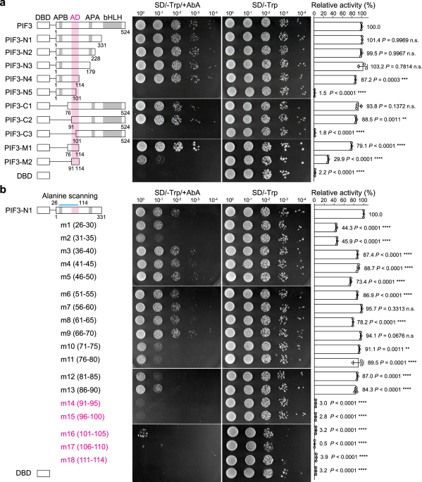 Direct Photoresponsive Inhibition Of A P53 Like Transcription Activation Domain In Pif3 By Arabidopsis Phytochrome B Nature Communications Direct Photoresponsive Inhibition Of A P53 Like Transcription Activation Domain In Pif3 By Arabidopsis Phytochrome B Nature Communications