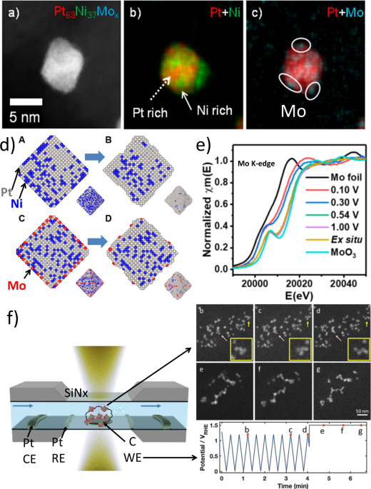 Distortion-Induced Interfacial Charge Transfer at Single Cobalt Atom  Secured on Ordered Intermetallic Surface Enhances Pure Oxygen Production