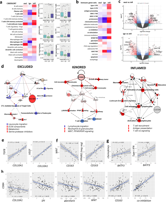 Spatial predictors of immunotherapy response in triple-negative breast  cancer