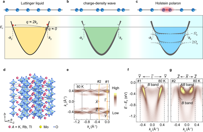 Band Selective Holstein Polaron In Luttinger Liquid Material A0 3moo3 A K Rb Nature Communications