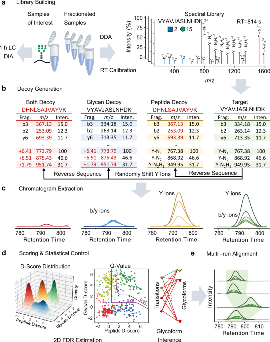 Gprodia Enables Data Independent Acquisition Glycoproteomics With Comprehensive Statistical Control Nature Communications Gprodia Enables Data Independent Acquisition Glycoproteomics With Comprehensive Statistical Control Nature Communications