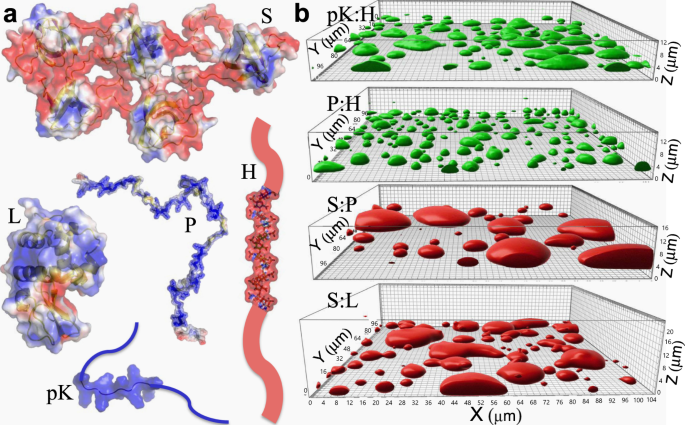 https://media.springernature.com/m685/springer-static/image/art%3A10.1038%2Fs41467-021-26274-z/MediaObjects/41467_2021_26274_Fig1_HTML.png