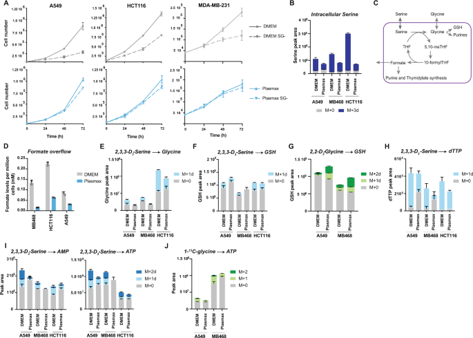 The impact of physiological metabolite levels on serine uptake, synthesis and utilization in cancer cells