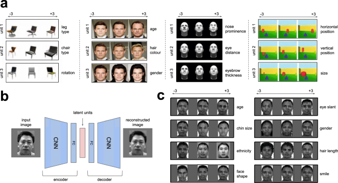 Unsupervised deep learning identifies semantic disentanglement in single  inferotemporal face patch neurons | Nature Communications
