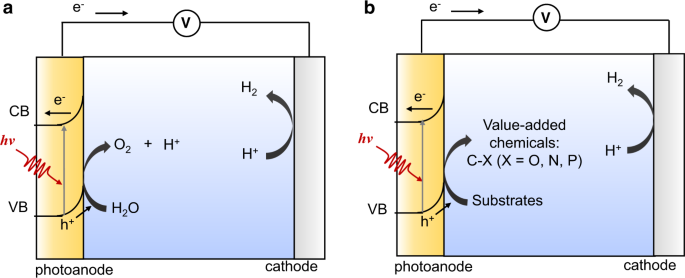Photoelectrocatalytic C H Halogenation Over An Oxygen Vacancy Rich Tio2 Photoanode Nature Communications