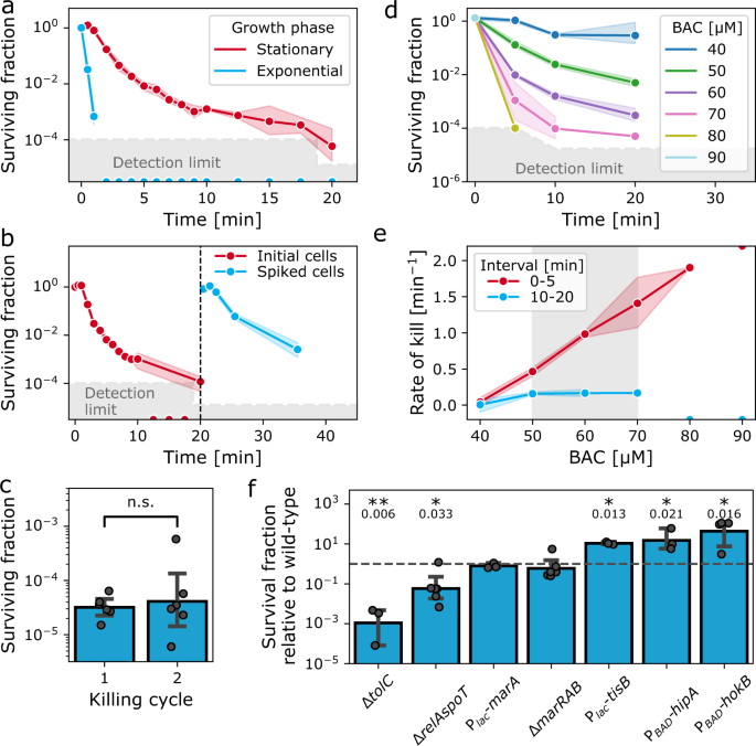 Persistence Against Benzalkonium Chloride Promotes Rapid Evolution Of Tolerance During Periodic Disinfection Nature Communications Persistence Against Benzalkonium Chloride Promotes Rapid Evolution Of Tolerance During Periodic Disinfection Nature Communications