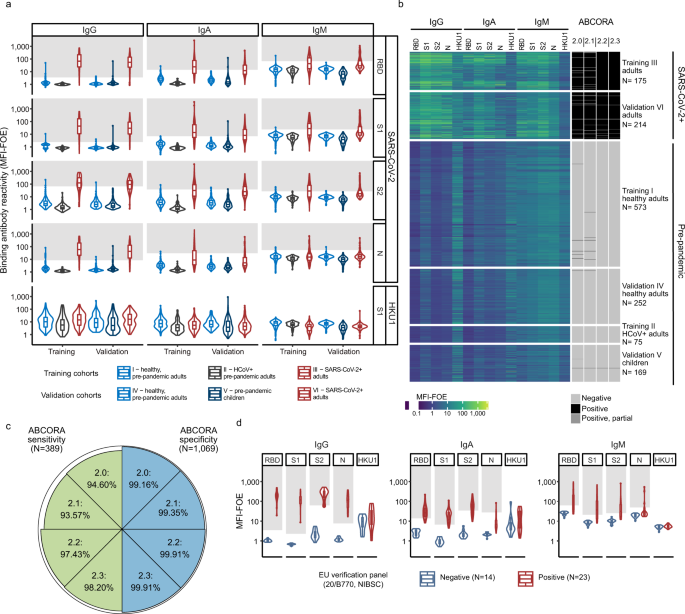 Multifactorial seroprofiling dissects the contribution of pre-existing  human coronaviruses responses to SARS-CoV-2 immunity | Nature Communications