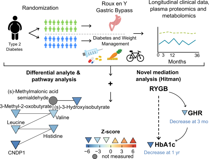 High-throughput mediation analysis of human proteome and metabolome  identifies mediators of post-bariatric surgical diabetes control | Nature  Communications