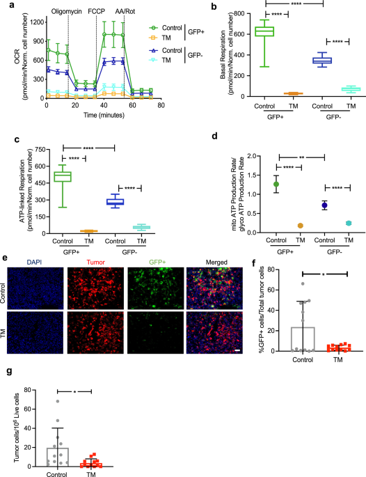 PDF) WTX101 in patients newly diagnosed with Wilson disease: final