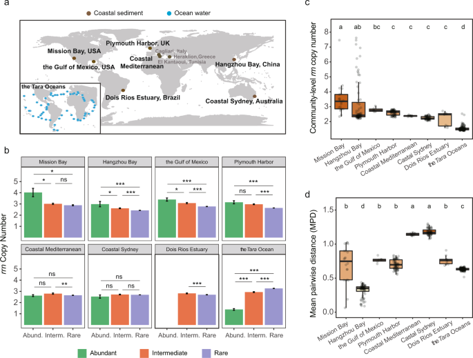 Nutrient supply controls the linkage between species abundance and  ecological interactions in marine bacterial communities | Nature  Communications