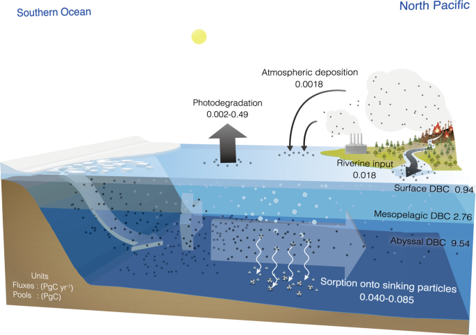 Fate of dissolved black carbon in the deep Pacific Ocean