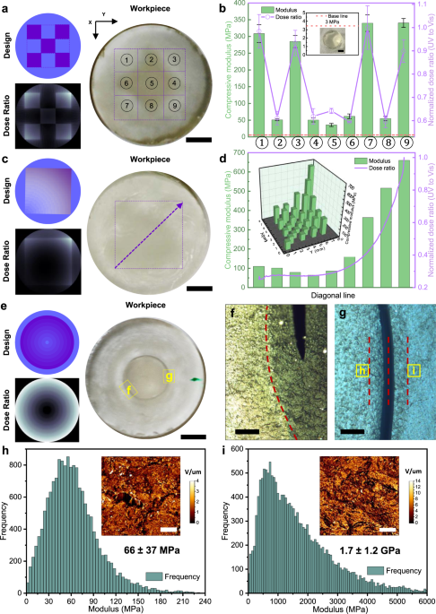 3D Printing of Functionally Graded Films by Controlling Process Parameters