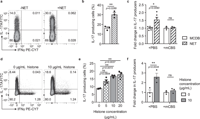 Neutrophil extracellular traps and their histones promote Th17 cell differentiation directly via TLR2 - Nature Communications