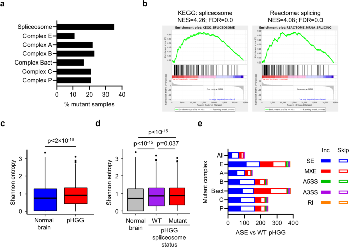 Splicing Is An Alternate Oncogenic Pathway Activation Mechanism In Glioma Nature Communications