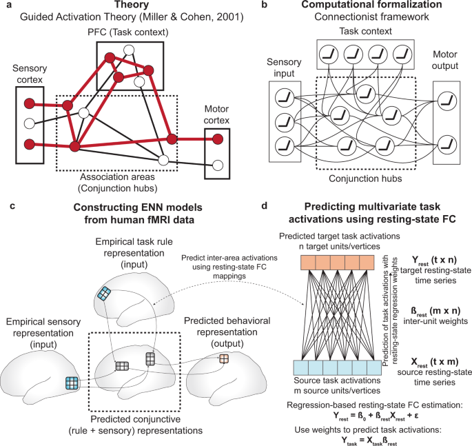Constructing neural network models from brain data reveals 