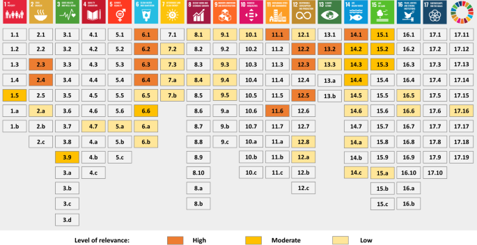 Sustainable Development Goals and risks: The Yin and the Yang of the paths  towards sustainability