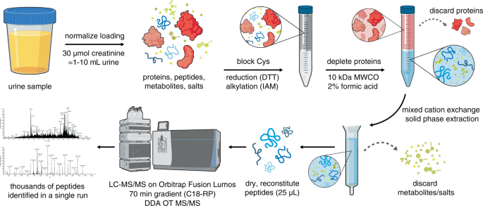 Inspection of visible components in urine based on deep learning