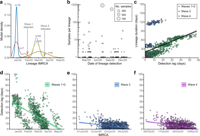 Genomic epidemiology of SARS-CoV-2 under an elimination strategy