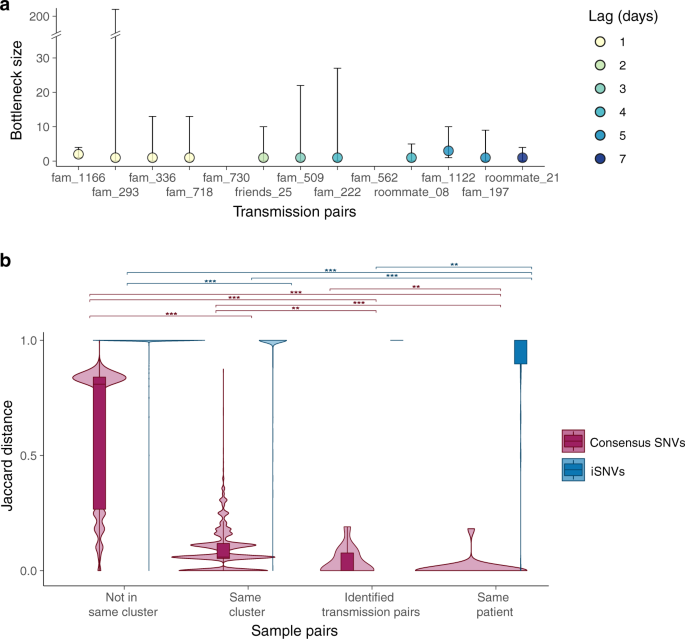 Genomic epidemiology of SARS-CoV-2 under an elimination strategy