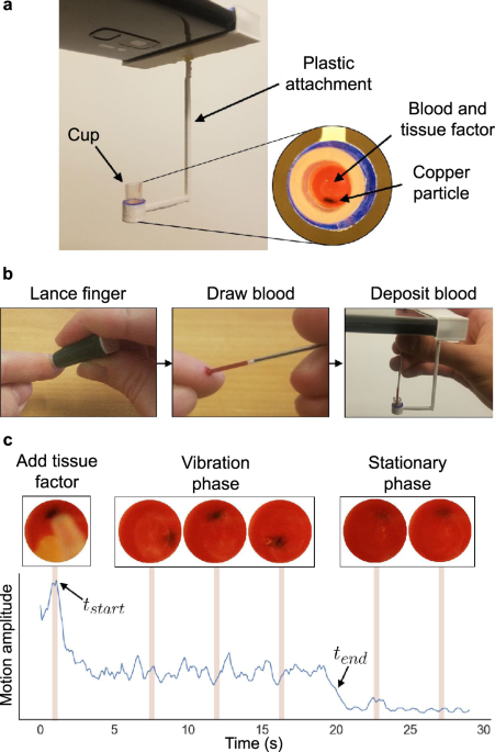 Rapid Blood Typing Test Kit - Quick & Reliable 5-Pack - Accurate Results