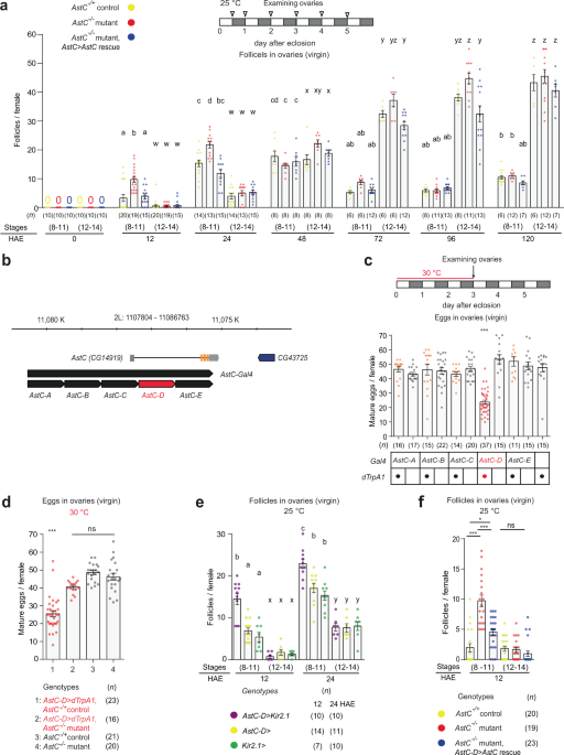The insect somatostatin pathway gates vitellogenesis progression during  reproductive maturation and the post-mating response | Nature Communications