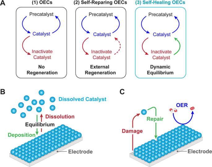 Self-healing oxygen evolution catalysts | Nature Communications