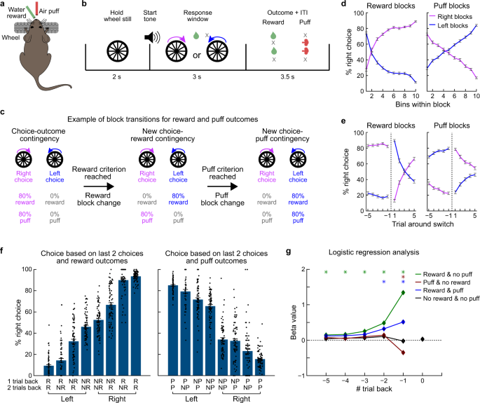 Multiplexed action-outcome representation by striatal striosome 
