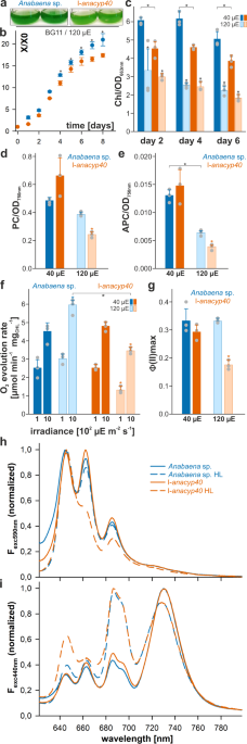 Spatial Proteome Reorganization of a Photosynthetic Model Cyanobacterium in  Response to Abiotic Stresses