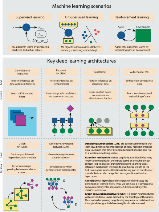 Current progress and open challenges for applying deep learning across the  biosciences | Nature Communications