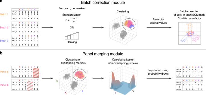 On Accuracy in Cells at Work!, and a review and reflection after three