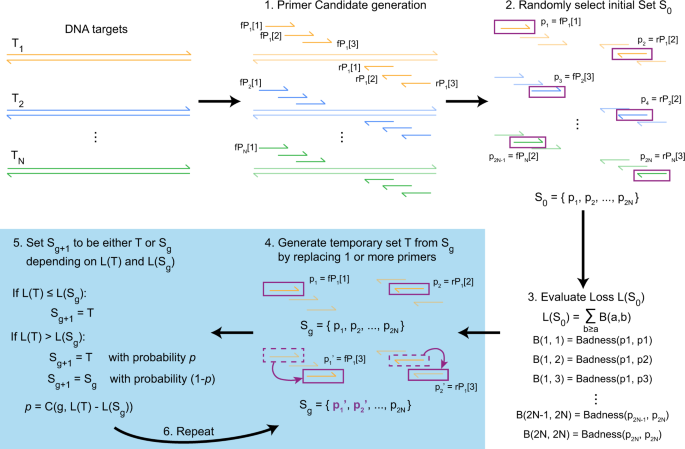 Designing highly multiplex PCR primer sets with Simulated Annealing Design  using Dimer Likelihood Estimation (SADDLE) | Nature Communications