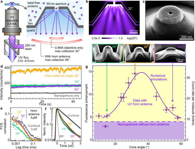 Ultraviolet optical horn antennas for label-free detection of single proteins
