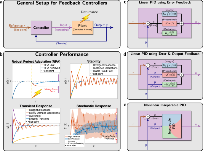 A biomolecular feedback controllers for robust perfect adaptation and dynamic performance Nature Communications