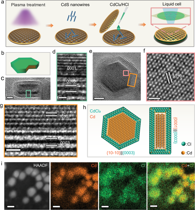 Defect Mediated Ripening Of Core Shell Nanostructures Nature Communications