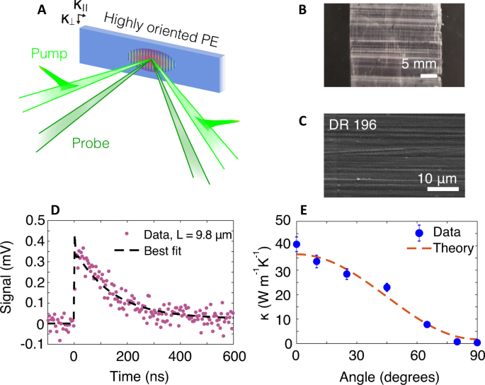 Origin of high thermal conductivity in disentangled ultra-high