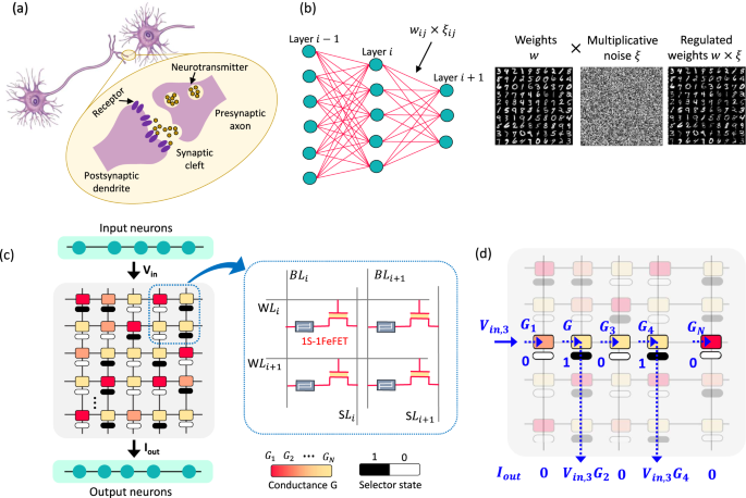 Nanoelectronic Programmable Synapses Based on Phase Change
