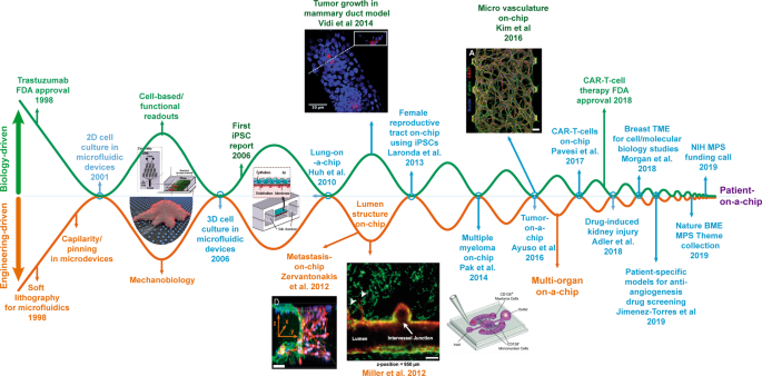 A role for microfluidic systems in precision medicine