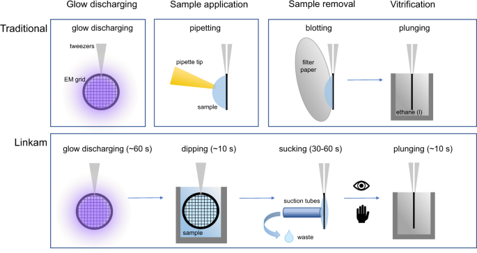 Automated vitrification of cryo-EM samples with controllable sample  thickness using suction and real-time optical inspection | Nature  Communications