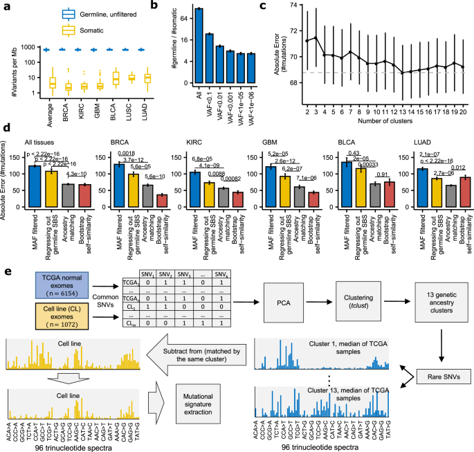 Mutational signatures are markers of drug sensitivity of cancer cells