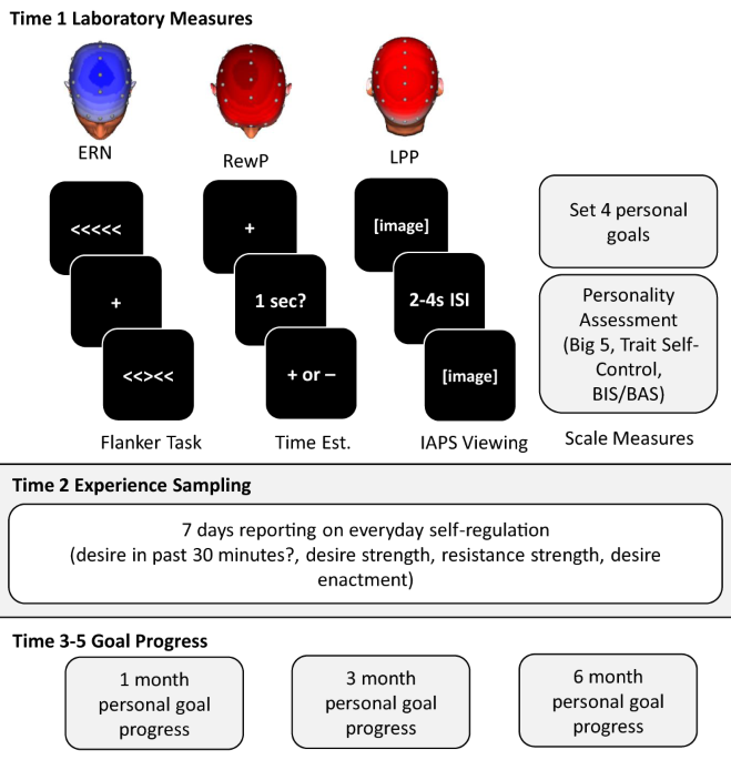 The P3 Lab - Possible, Probable, and Powerful