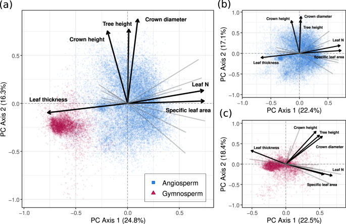 The Evolution of Plant Functional Variation: Traits, Spectra, and